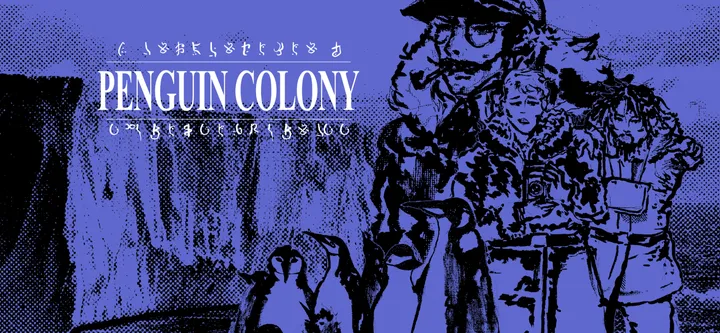 Penguin Colony