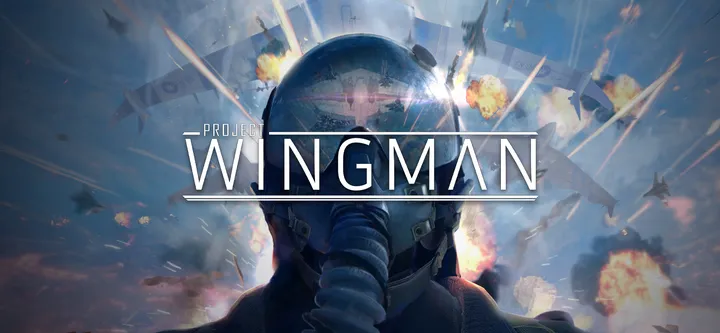 Project Wingman